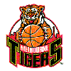 Diamond Valley Eagles