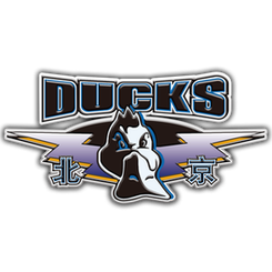 Guangdong Southern Tigers