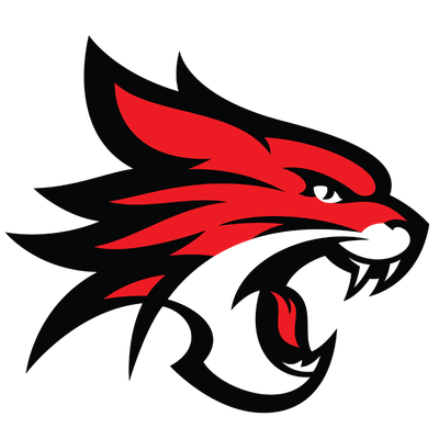 Perth Wildcats