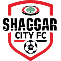 Addis Ababa Ketema Women